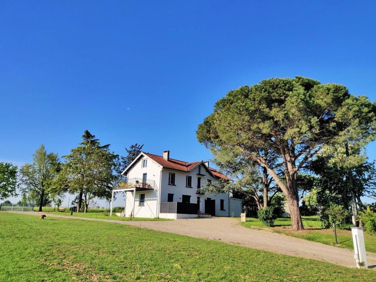 Le Cottage Nature Primeur Sauna Gaillac Entre Albi-Toulouse & Les Cottages Du Tarn Brens  Kültér fotó